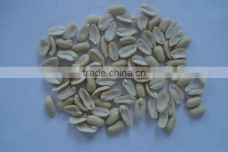 25/29 29/33 BLANCHED PEANUT KERNEL