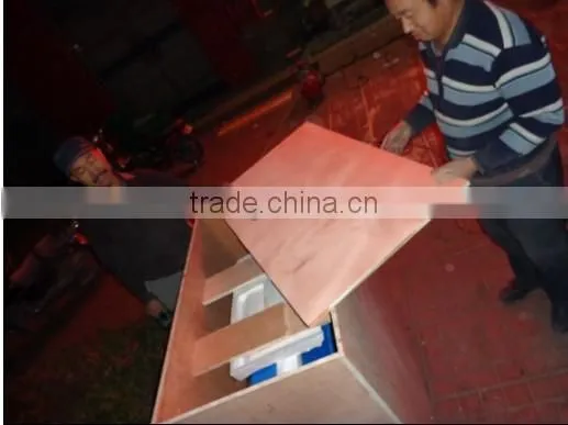 Save strength machine for peeling apricot