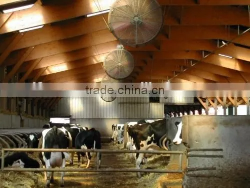cow fan/hanging fan/dairy fan/dairy house fan/cow house fan