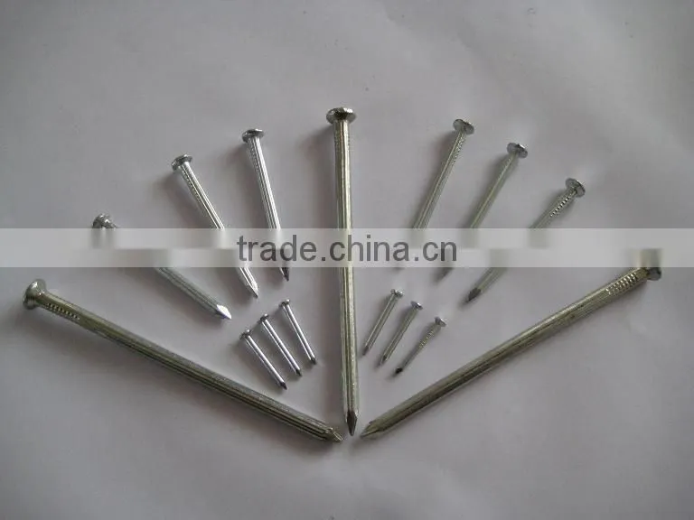 galvanized steel concrete nail thumb brand
