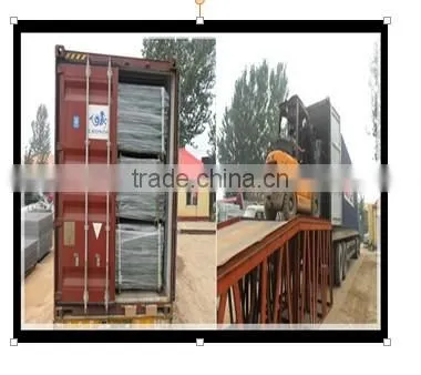 2013 Hot Sale machine palisade fencing