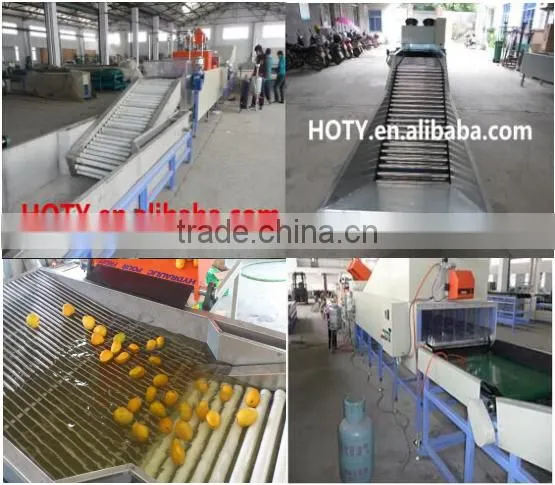 fruit selecting machine/Fruit Pick Up Equipment