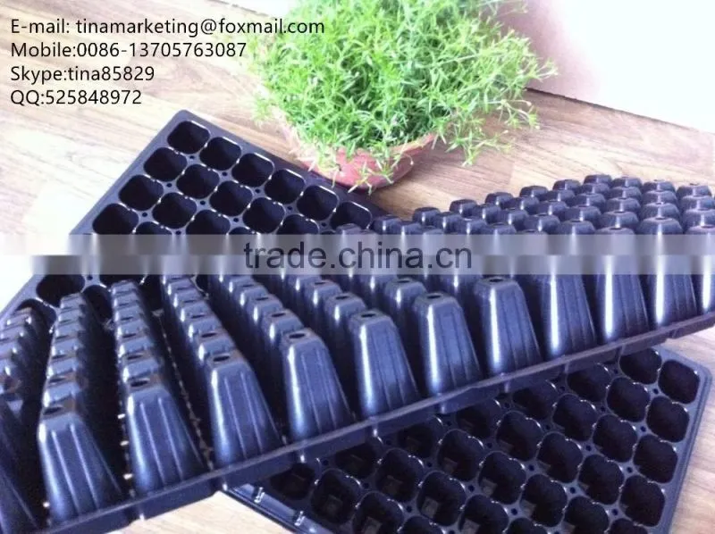 Black PS Material 105 cells Blister Process Plastic Plant Nursery Seed Plug Trays for Propagation