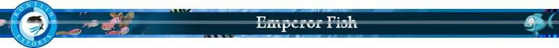Best Quality Frozen Emperor Fish at Low Price