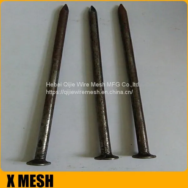 common nail 0003
