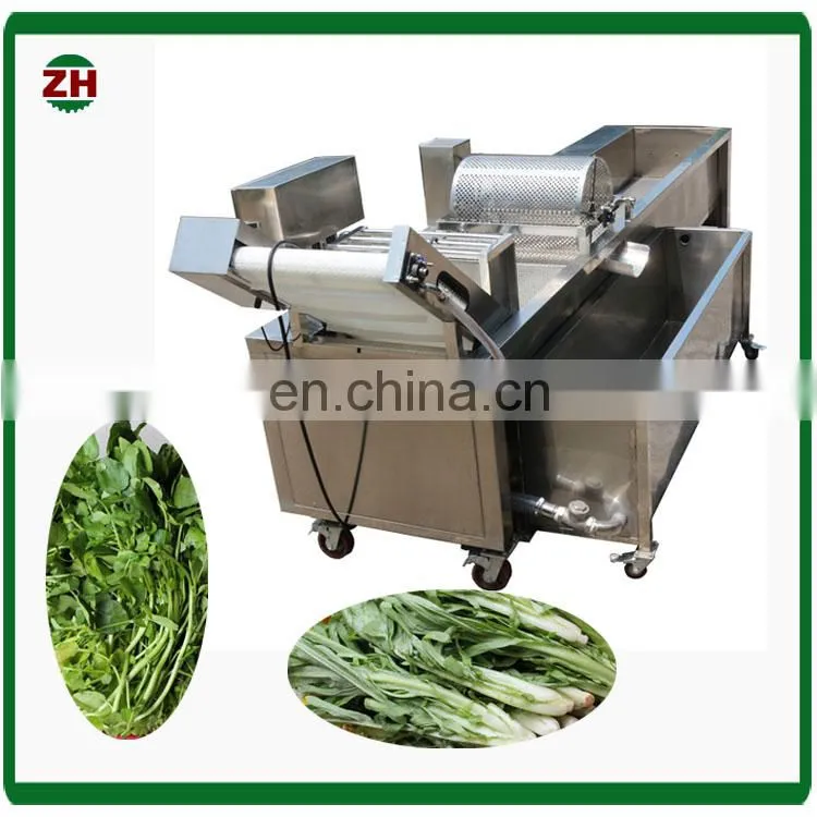 Commerical ozone air bubble oka mushroom washing machine jujube and grape fruit washing machine