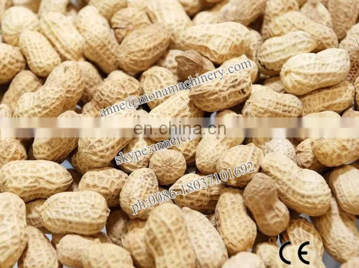 Big capacity used peanut roaster for sale