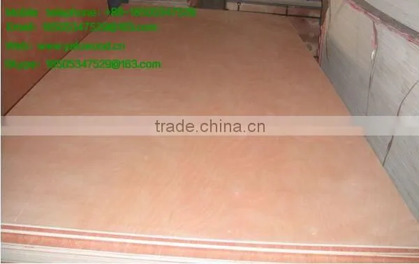 E1 / E 2 glue plywood / furniture making birch veneer plywood