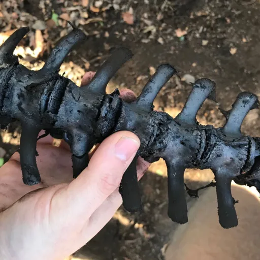 bone char uses (2)
