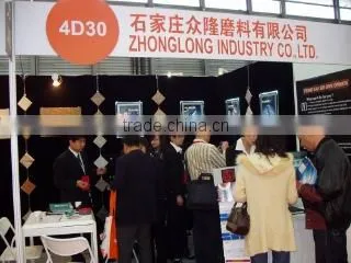 Shijiazhuang Zhonglong Abrasive Industry Co., Ltd. company overview - view 1