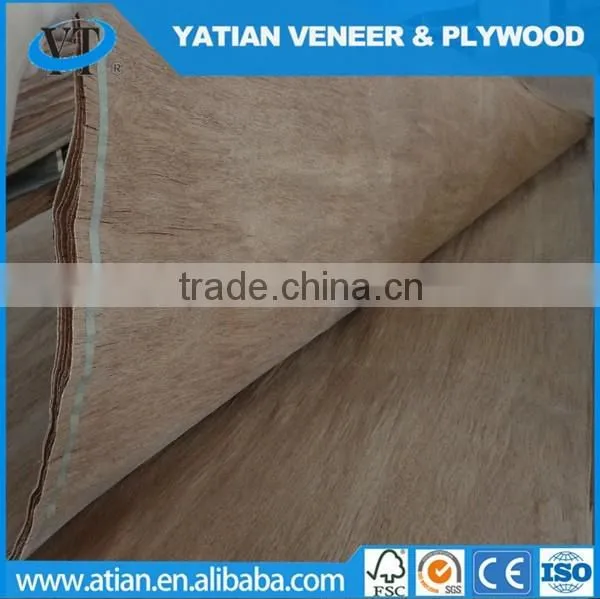Rotary cut 0.2-0.3mm plywood face water gum veneer