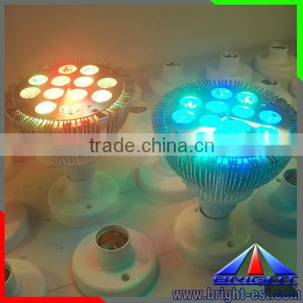 12W LED Par38 Light with RGB Controller