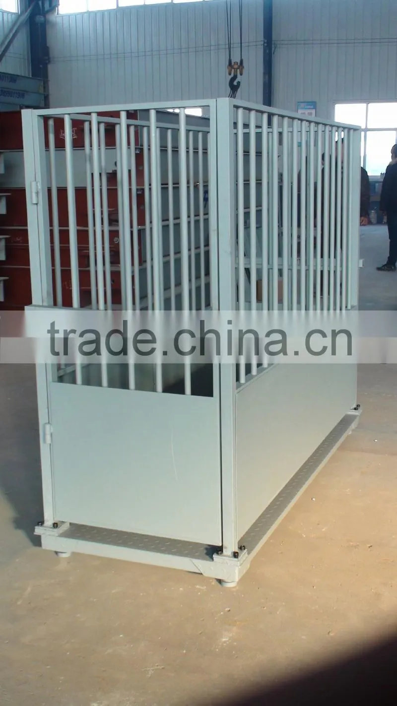 cattle scale