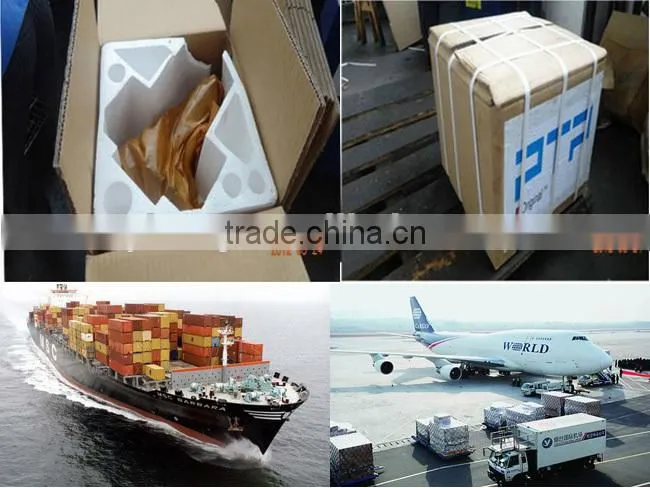 Transmission Parts Steel Gear Shaft