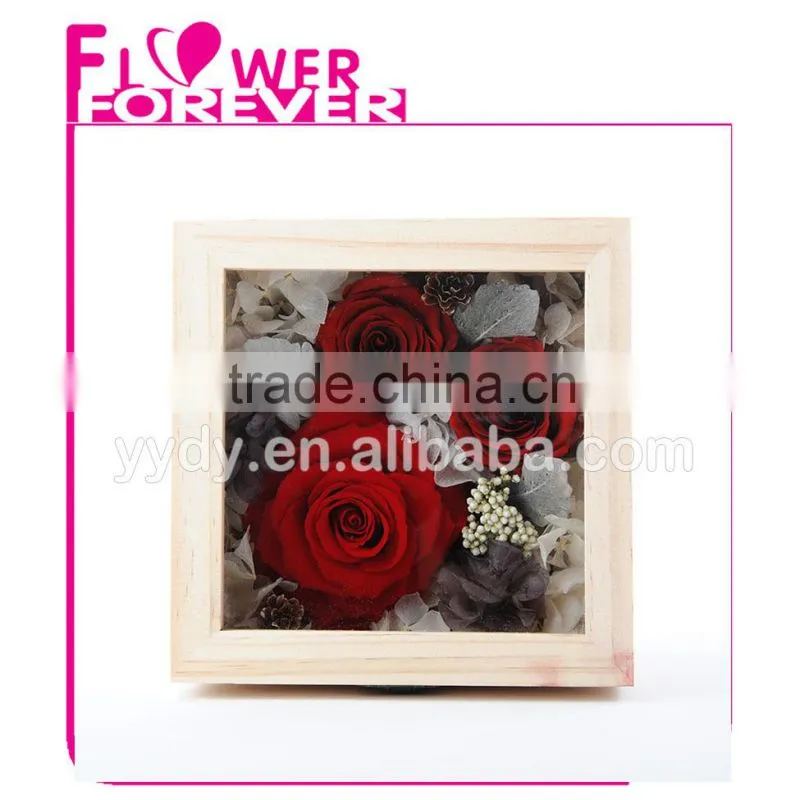 Wholesale Real Preserved Flower