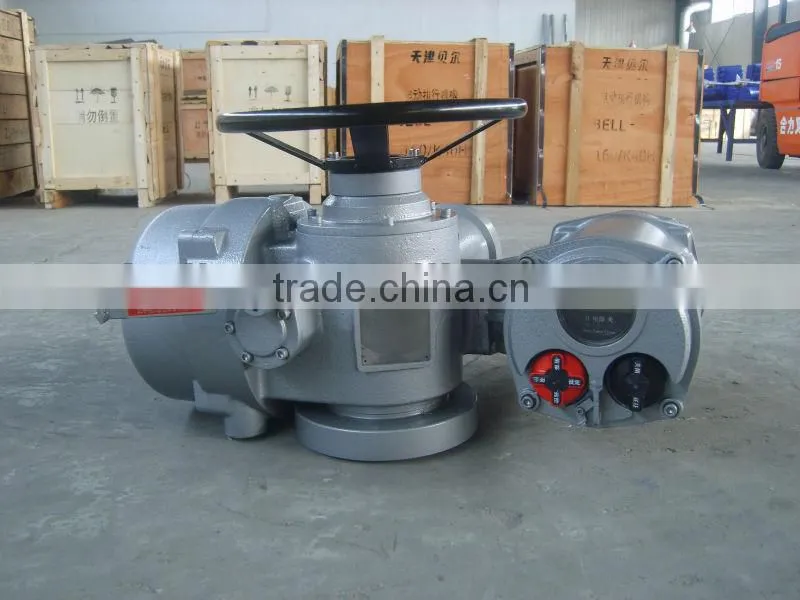 Multi turn Actuator