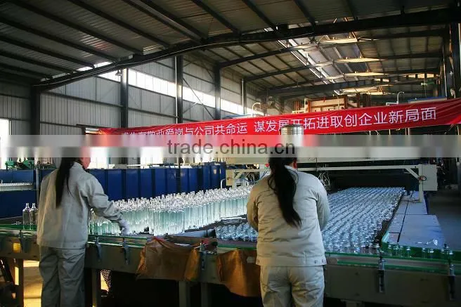 Large volume clear glass bottle for beer, sauces container