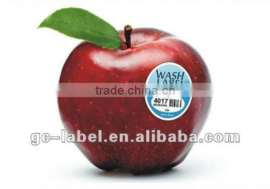 high-quanlity Custom adhesive Guangzhou sticker