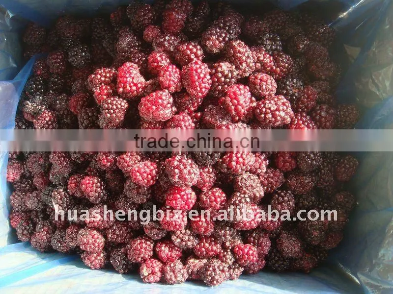 IQF blackberry