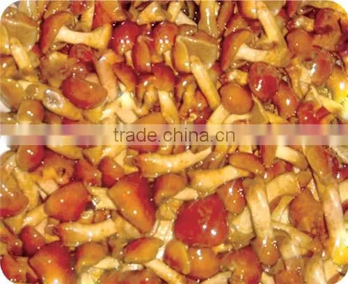2014new crop Canned Nameko marianted 580ml