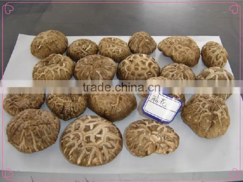 Dried flower mushroom, china shiitake mushroom