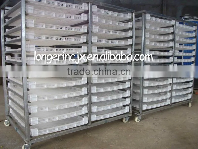 Electric Type Mango Drying Oven|Fruit Drying Machine for sale