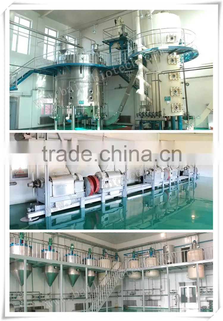 Good Price organic refined borage oil bulk China