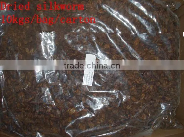 Dried silkworm Fish Food