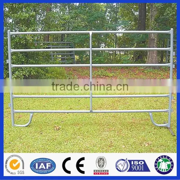cattle paddock and horse fence