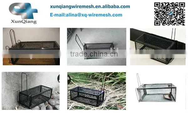 rat mouse trap cage