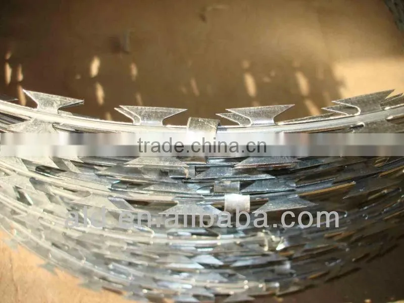 High Quality and Low Price Galvanized Double Twisted Barbed Wire