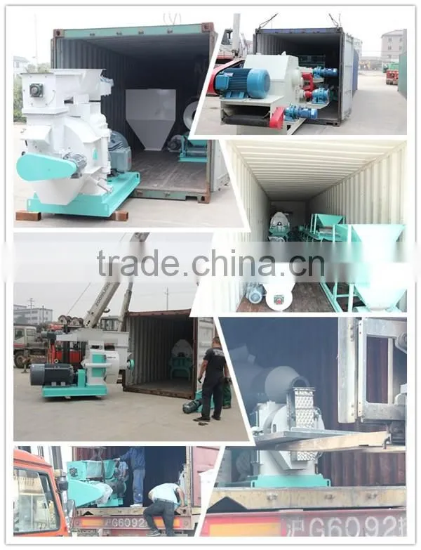Agricultural wastes material palm fiber/palm shell/ groundnut shell pellet machine with high calorific value