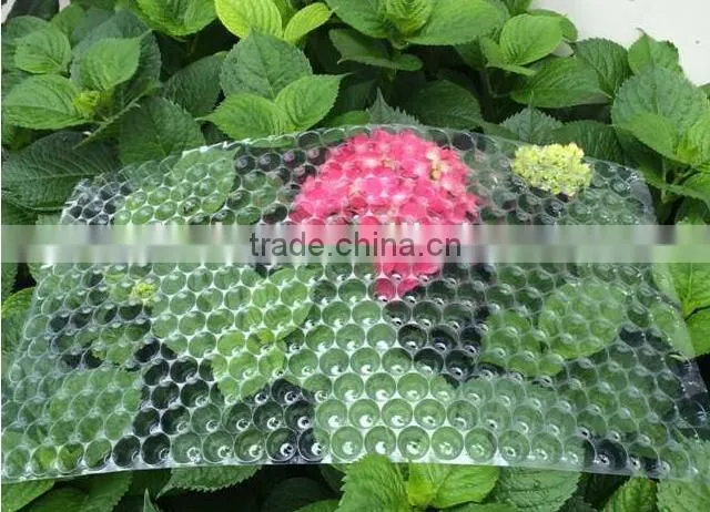 434 cell, 353 cell Colorful PVC Rice Seedling Tray Type