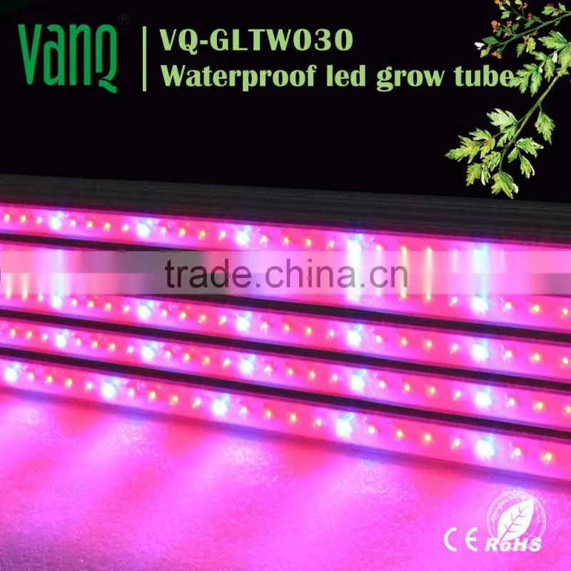 LED lighting hydroponic grow systems full spectrum 150w cob led grow light Vanq classical