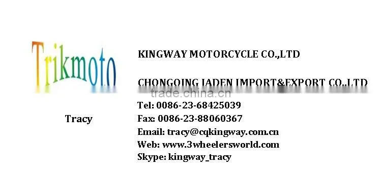 China Manufacturer 2013 Top Seller 200cc Cheap electric mini three wheel car