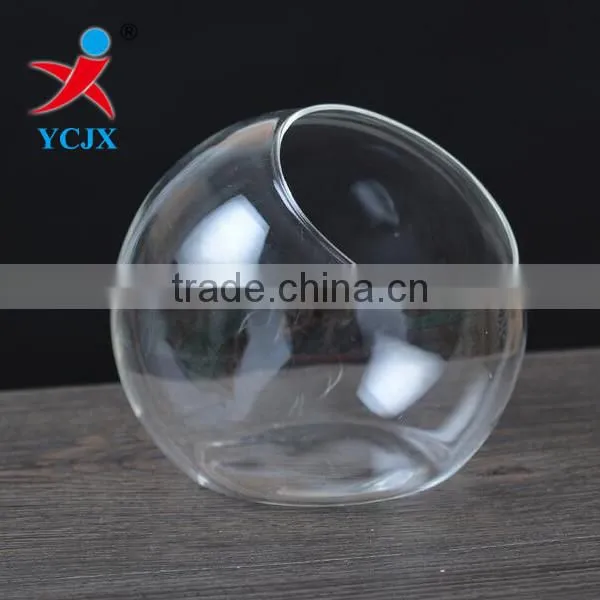 Hand Made Clear Round Glass Flower Terrarium
