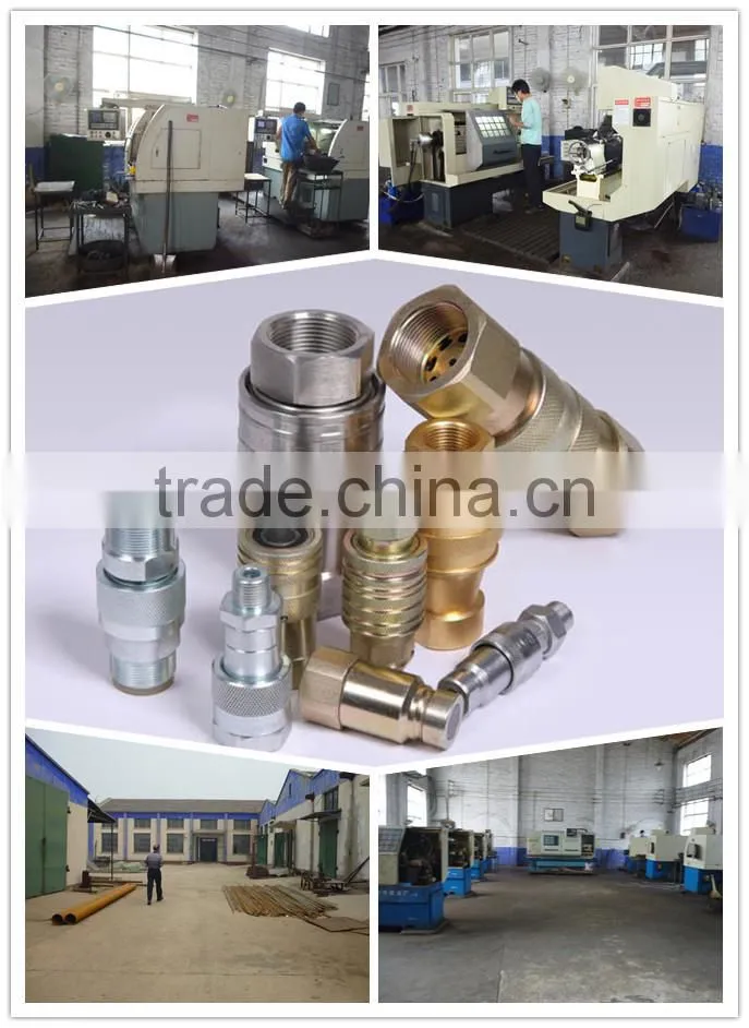 Stainless steel Hose Quick Connector quick fitting