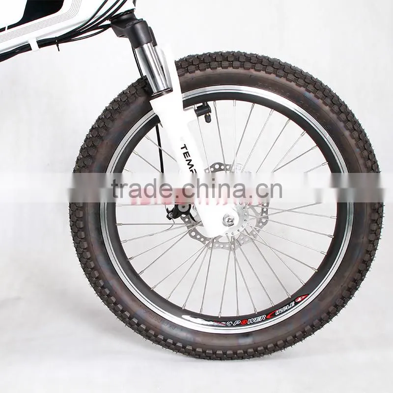 electric mountain bike with intelligent controller