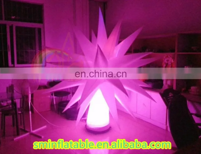 Inflatable led tent inflatable tent hangar bubble tent/inflatable car cover