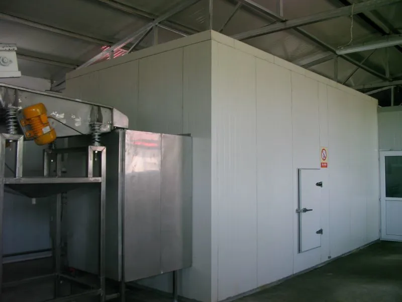 China Frozen Vegetable Production Line/Green Peas Quick Freezing Processing Machine