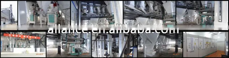 feed pelleting project