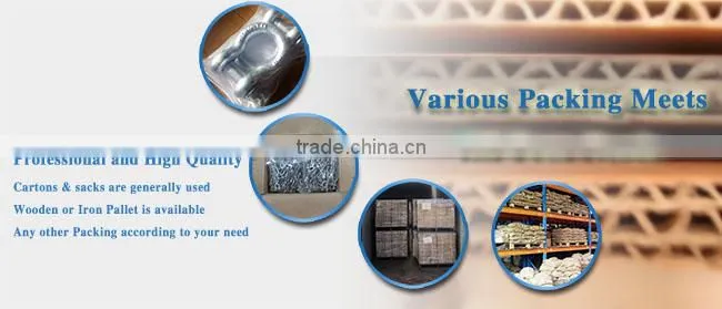 Hot Galvanized JIS Type D Shackle