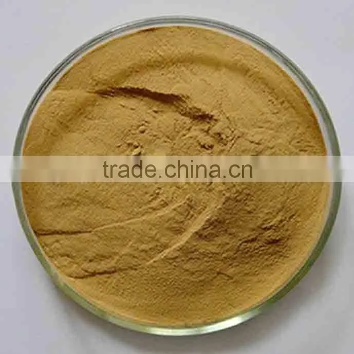 Manufacturer Pure Natural High Quality Ginger Extract, Ginger Root Extract, Ginger Extract Powder