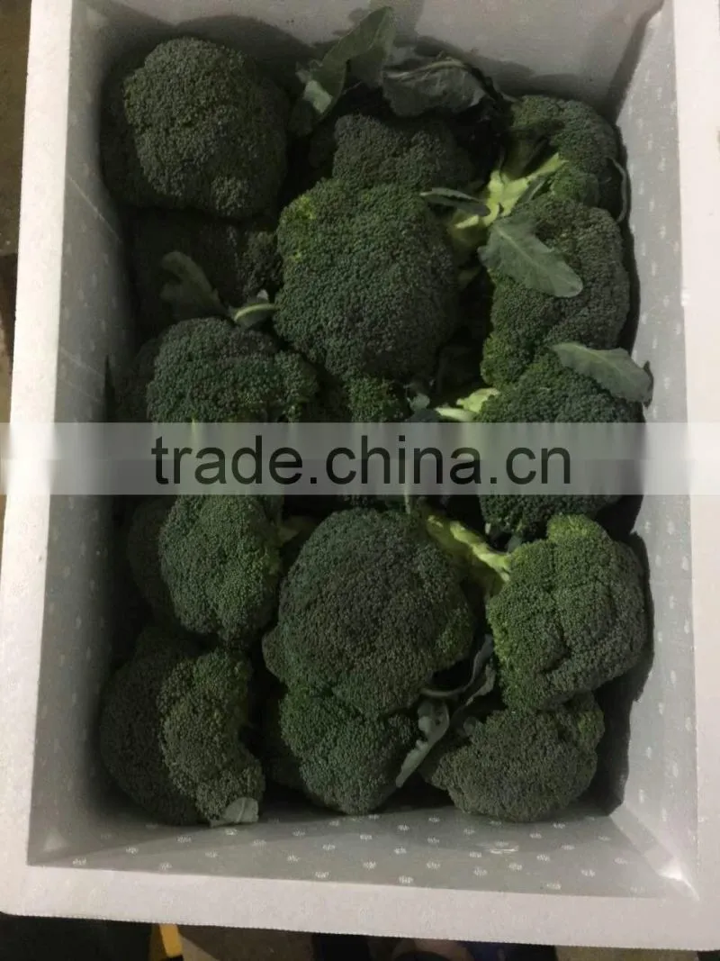 Chinese Fresh Broccoli