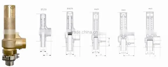 BLR/NGI stainless steel sanitary safety valve