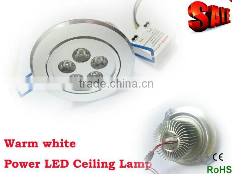 Edison LED Downlight 12V with Power Supply