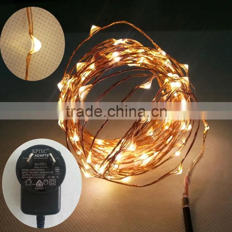6M LED rice lights with 4 customerized plug adapter