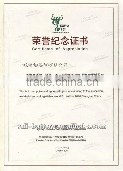 180Ah battery pack for Shanghai 2010 World Expo