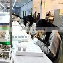 Shenzhen Hifly Technology Co., Ltd. company overview - view 3