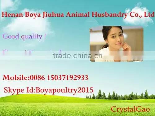 pp water pressure regulator for poultry